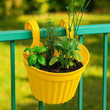 Multicolor Hanging Plastic Planters Orchid Relling , For Plantation,(1pc)