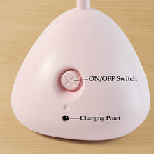 Cute LED Desk Table Lamp (1 Pc)