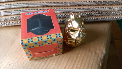 LED Mushak for Diwali Home